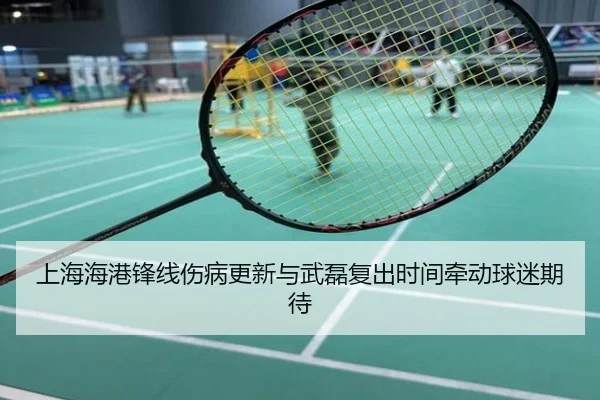 上海海港锋线伤病更新与武磊复出时间牵动球迷期待