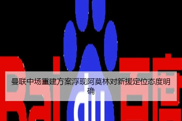 曼联中场重建方案浮现阿莫林对新援定位态度明确